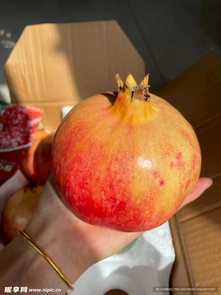 软籽石榴