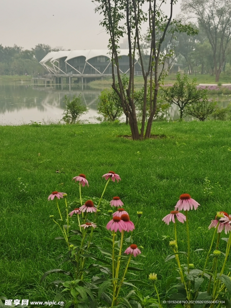 龙潭中湖风景