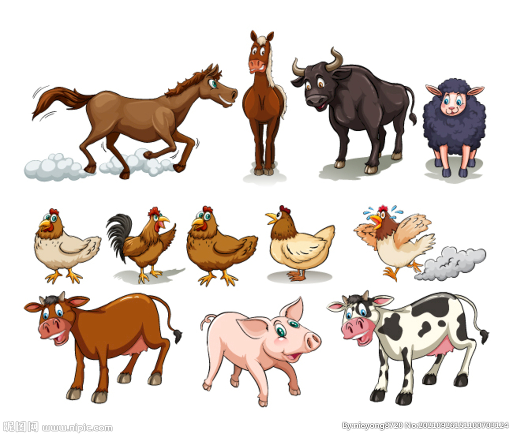 农场各种动物牛羊鸡猪