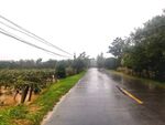 雨天的乡村道路