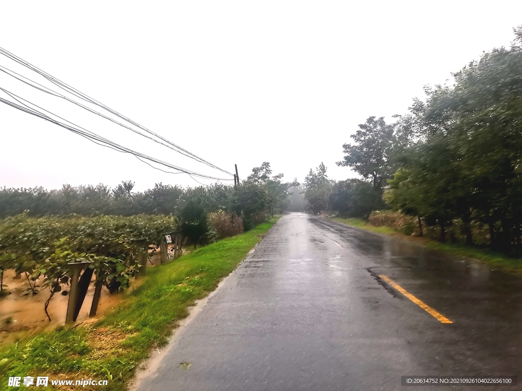雨天的乡村道路