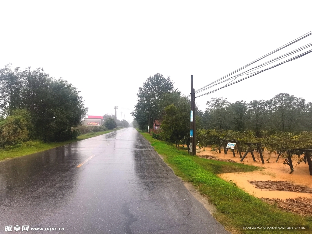 雨天的乡村道路