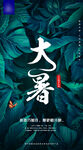 大暑 二十四节气海报