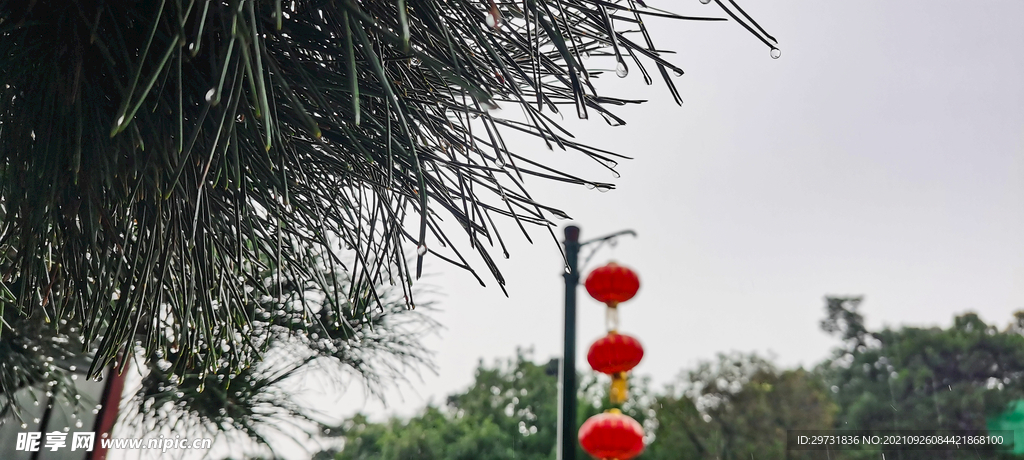 雨季