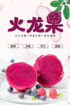火龙果