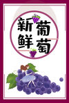 新鲜葡萄