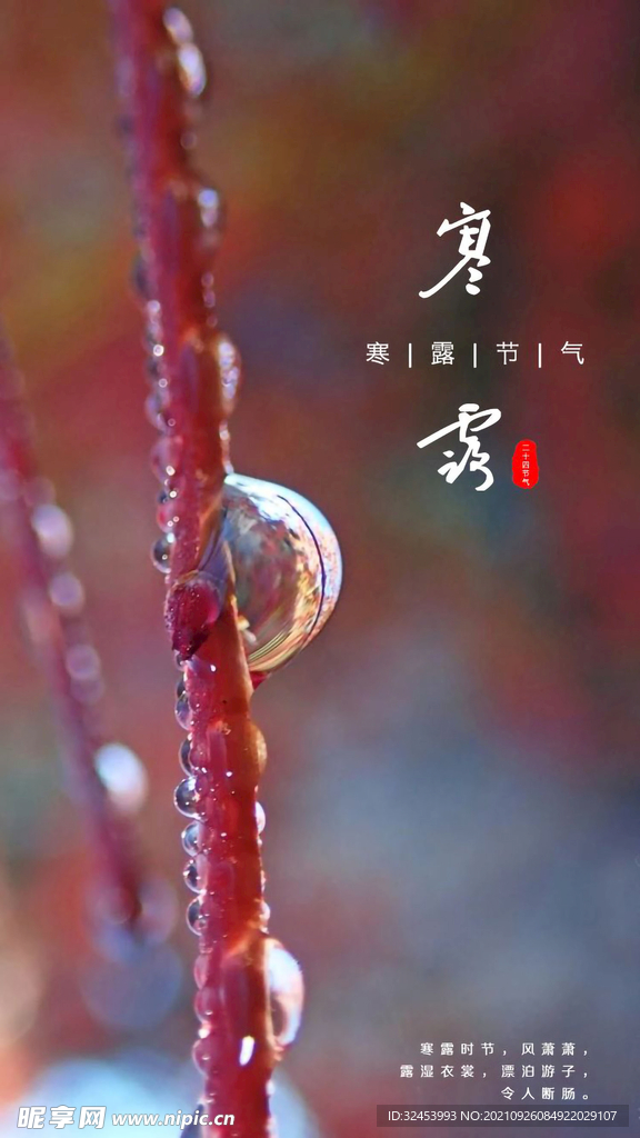 寒露