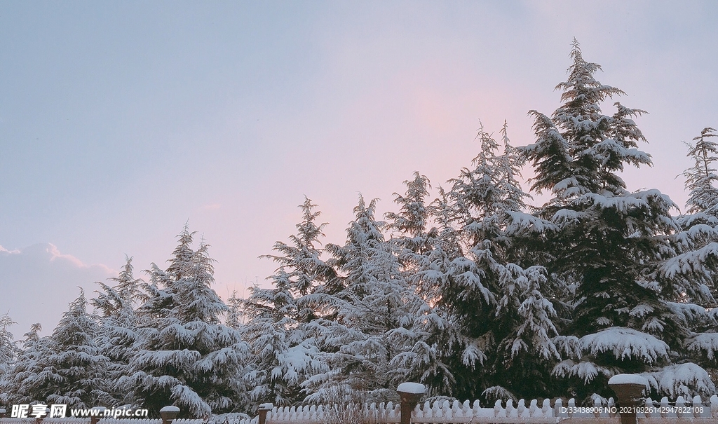 雪天