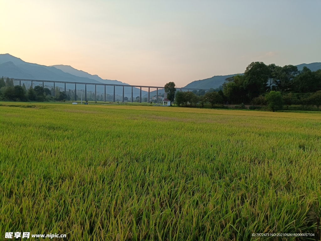 田园风光