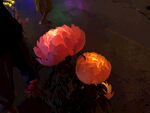 中国灯都国际路灯城花景观灯 