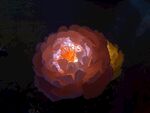中国灯都国际路灯城花景观灯 