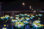 温州南塘河夜游莲花灯景观