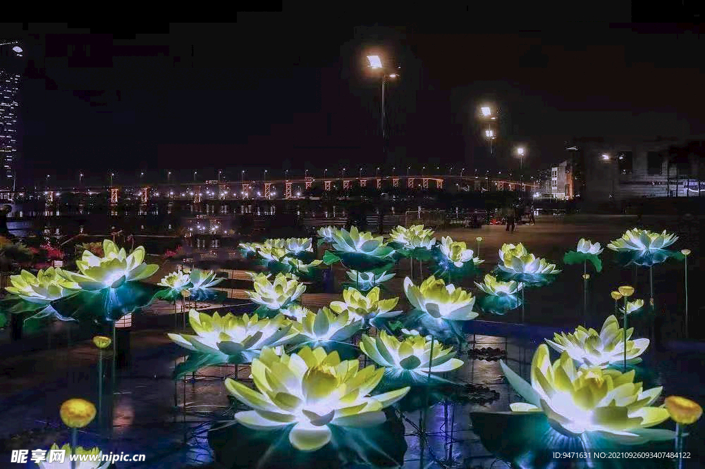 温州南塘河夜游莲花灯景观