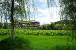 贵州安顺山里江南