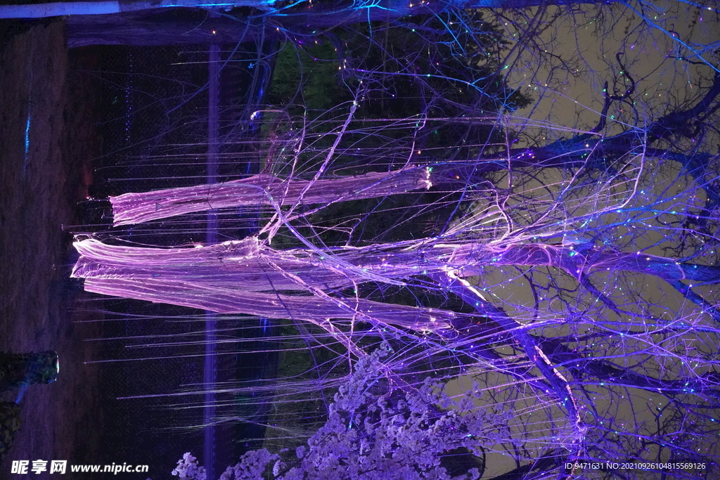 北京玉渊潭《蔚蓝》夜游灯光秀