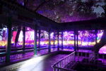 珠海圆明新园夜游景观亮化