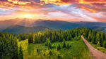 山