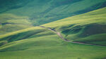 山