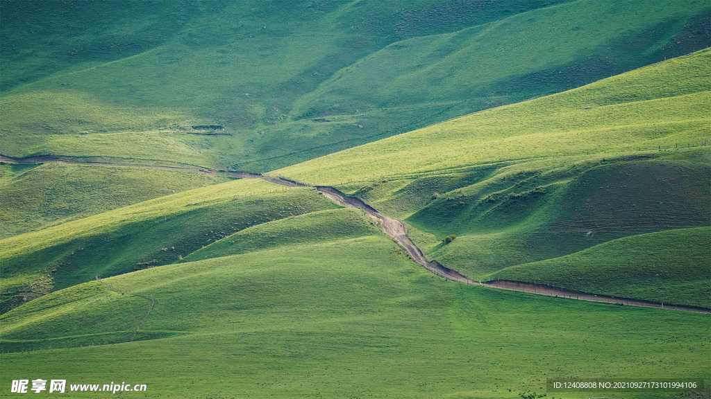 山