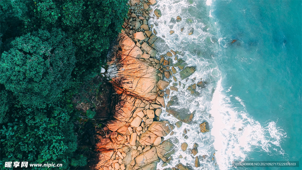 大海