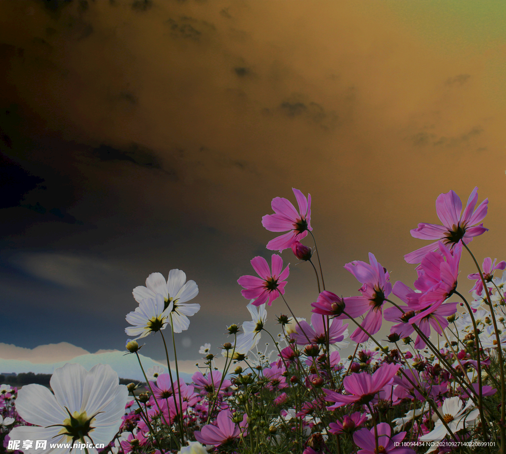 花