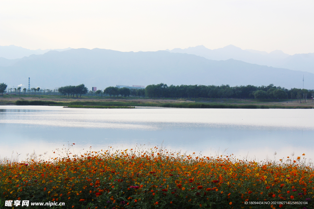 山水花