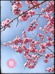 春暖花开