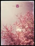 春天来了