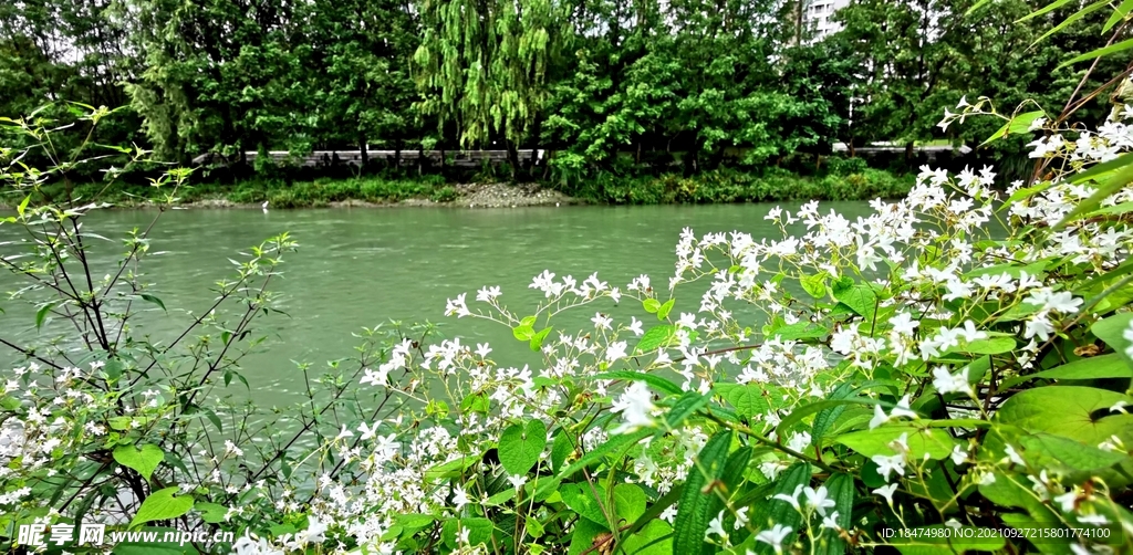河边风景
