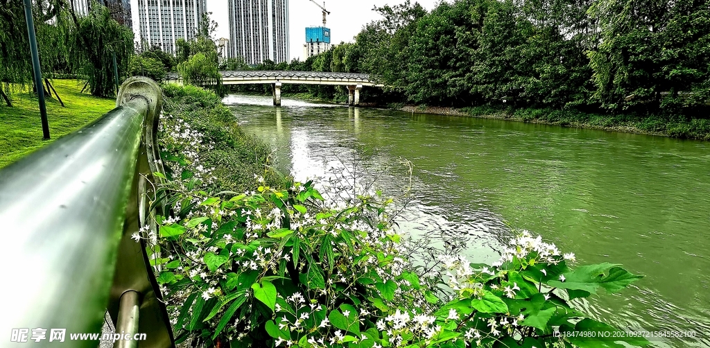 河边风景摄影