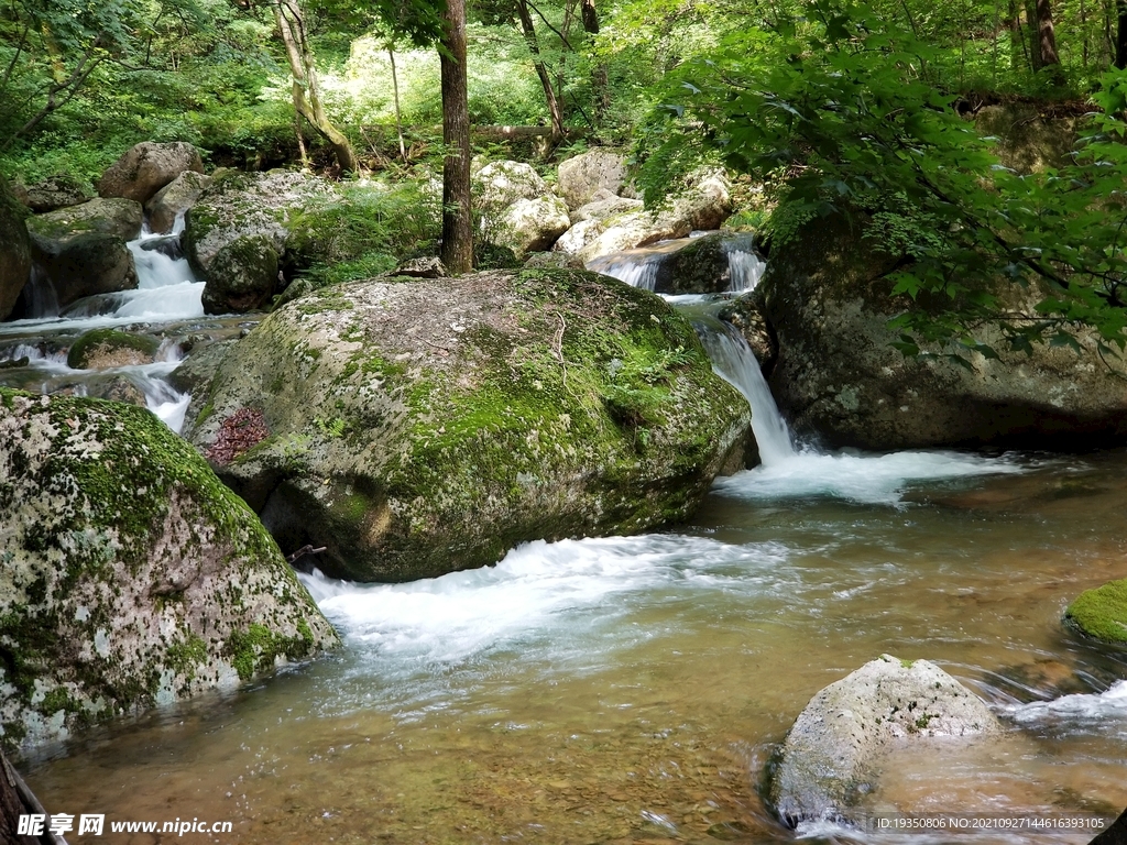 丹东天桥沟山里林间溪流岩石