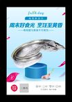 带鱼海报
