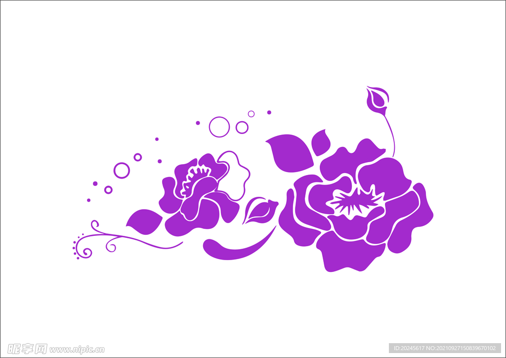 牡丹花