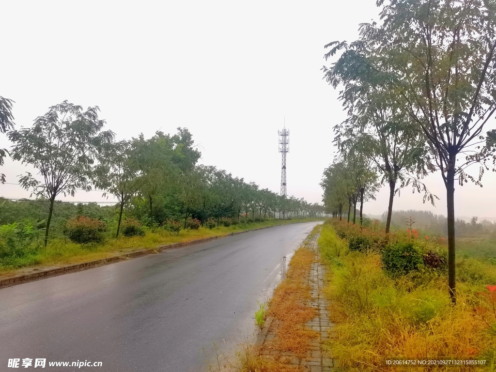 雨天的乡村道路