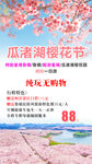 赏樱花