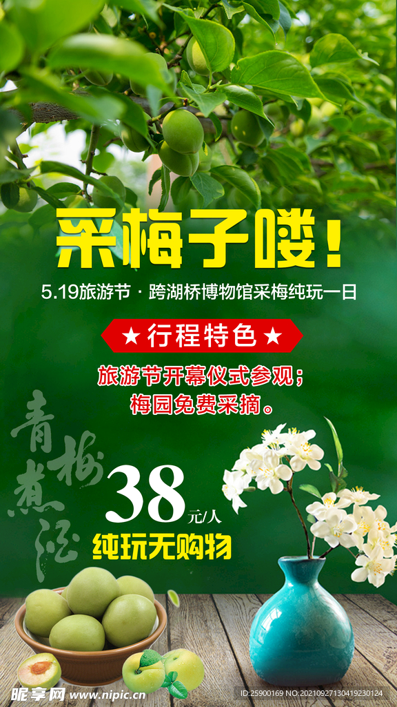 采摘梅子