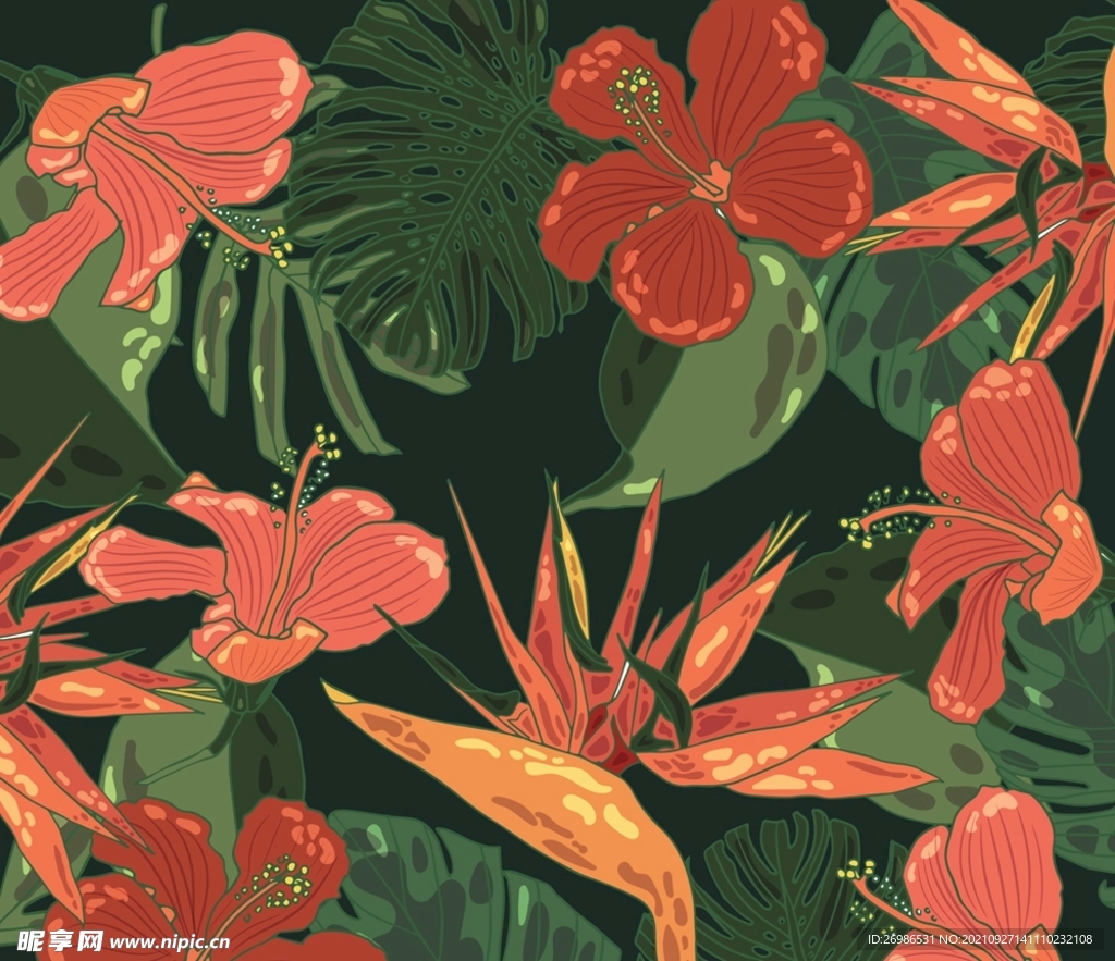 热带花卉无缝背景