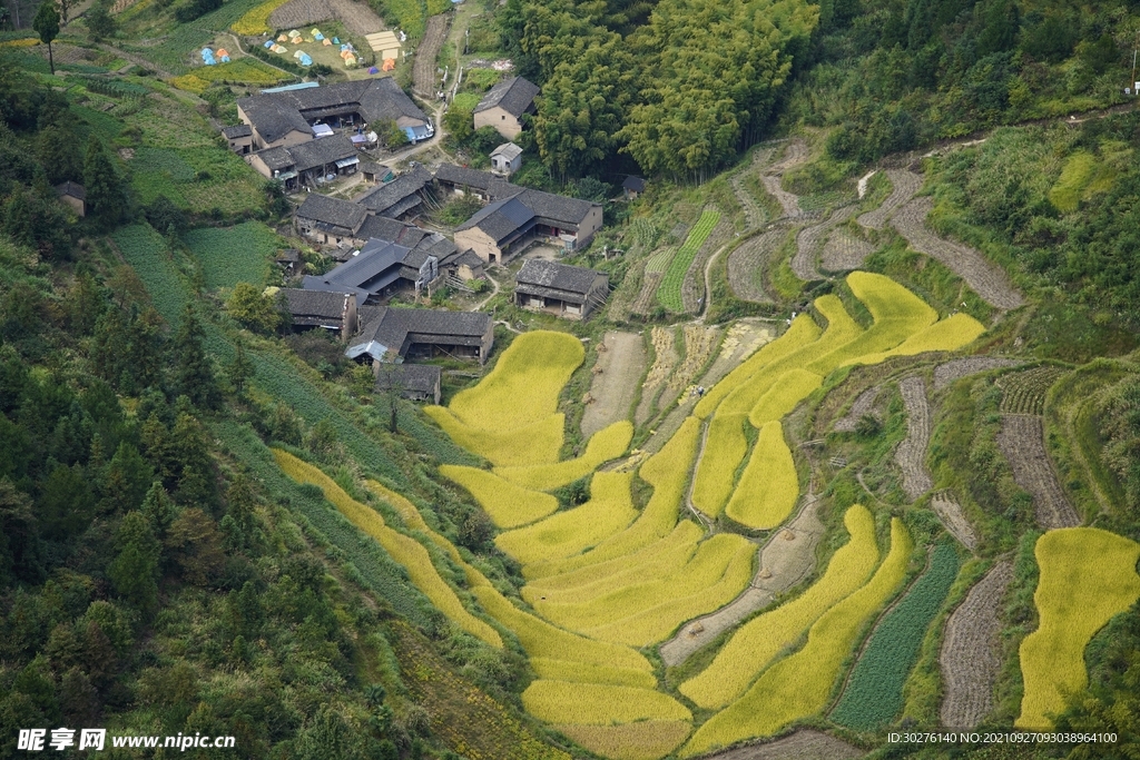 绍兴梯田