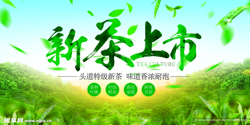 新茶上市 