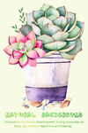 花卉植物树叶装饰画插画
