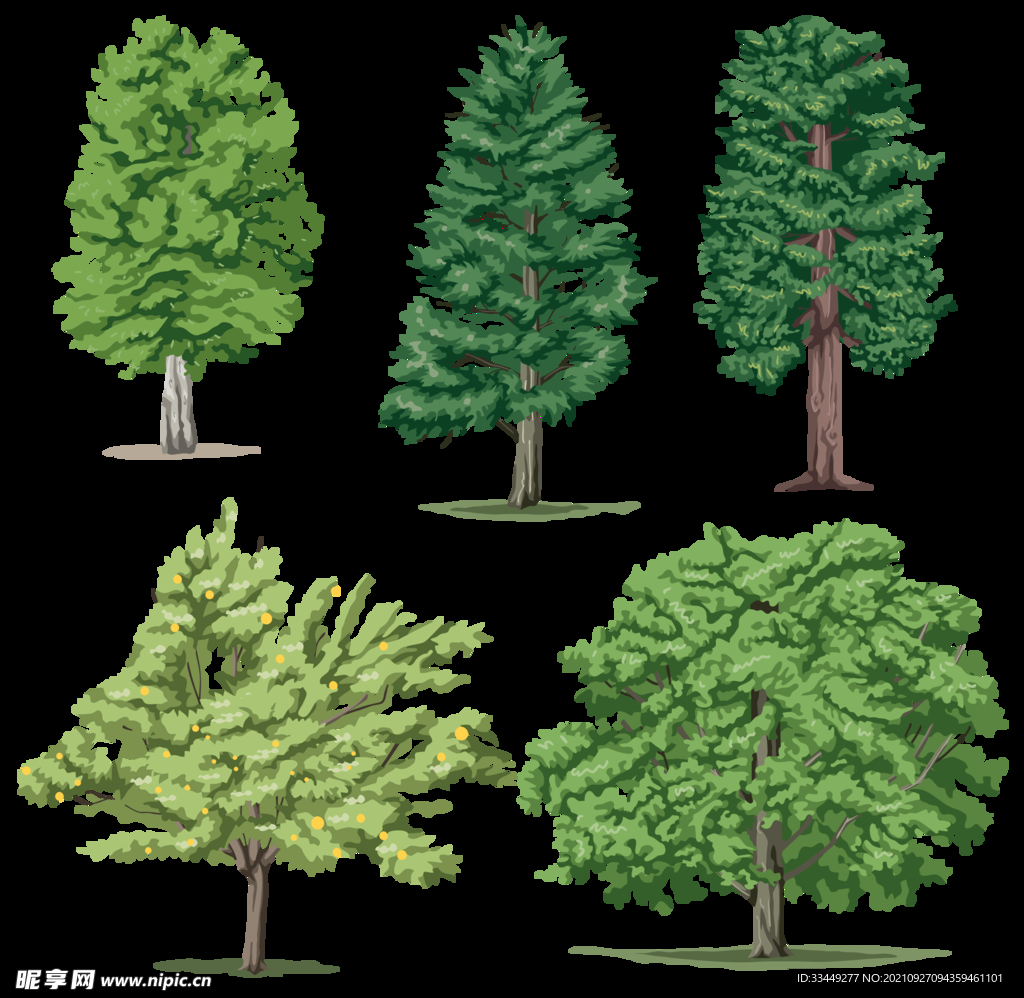 树 PNG