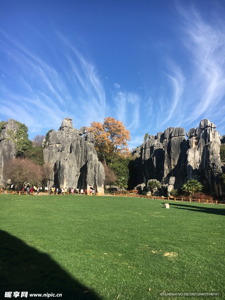 云南石林实景