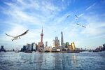 城市建筑照片