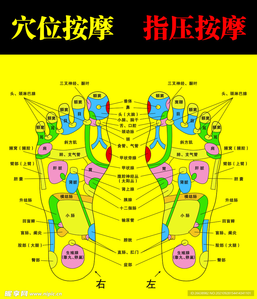 足部穴位按摩