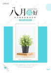 8月你好