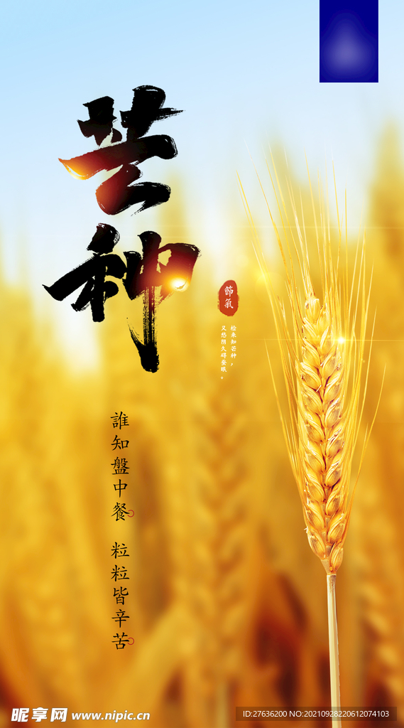 芒种二十四节气海报