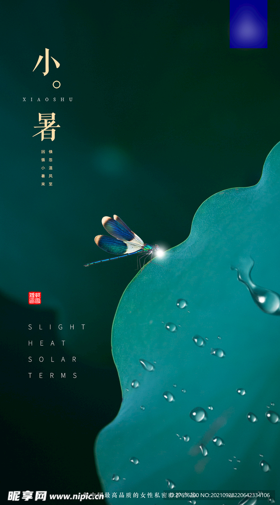 小暑二十四节气海报