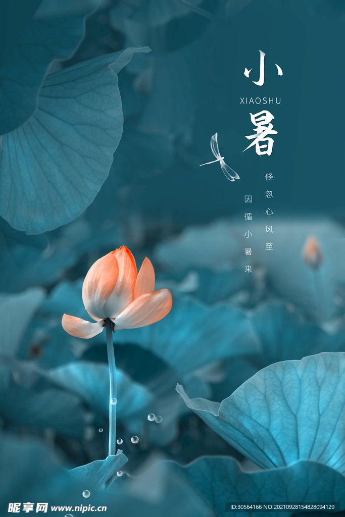 小暑