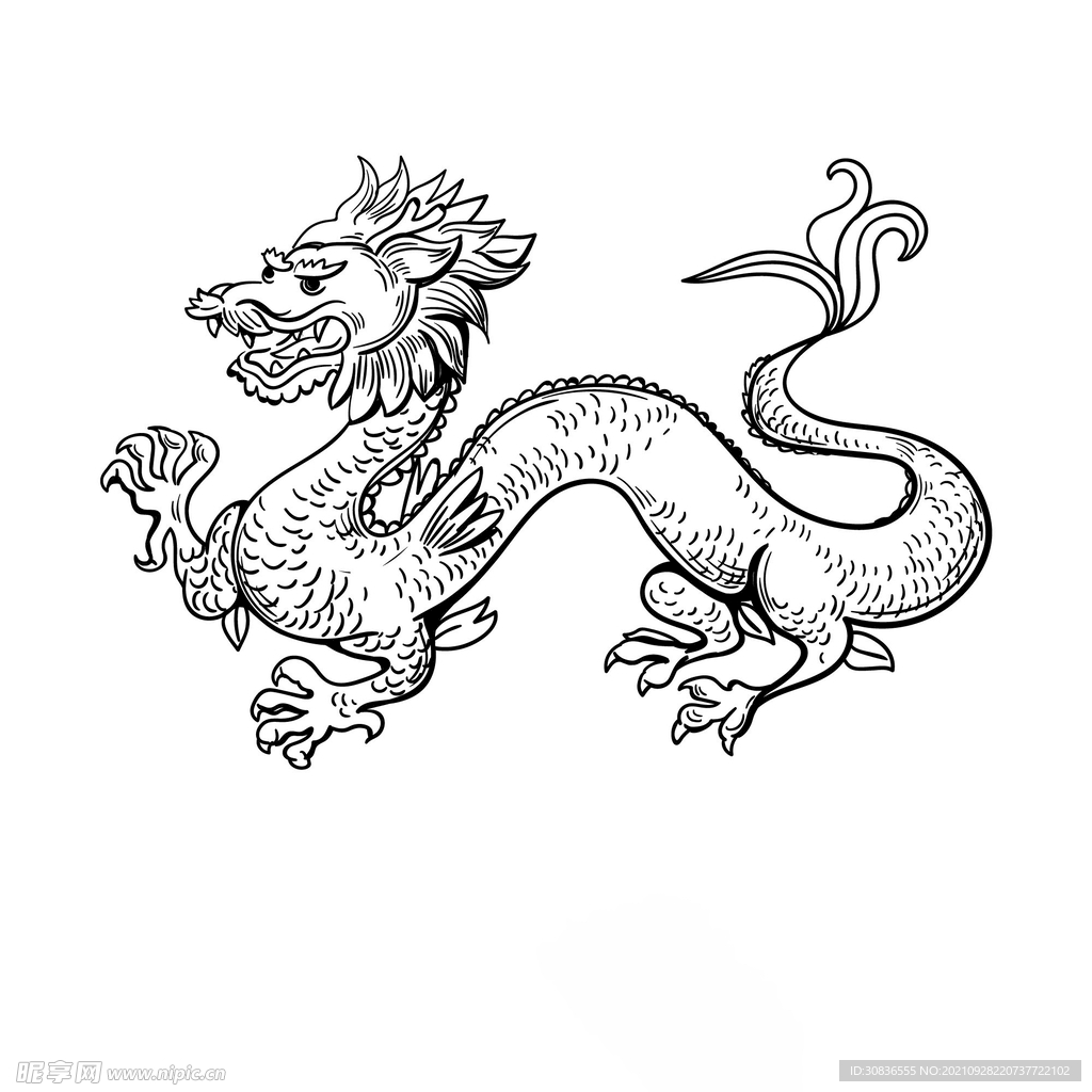 龙 