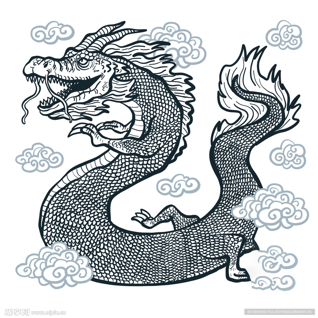 龙 